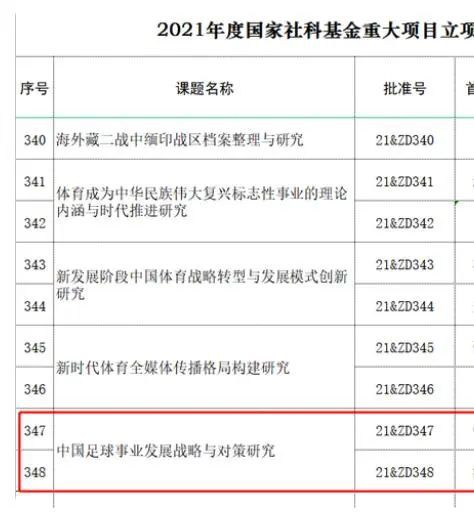 桑巴金球奖成立于2008年，旨在表彰年度最佳的巴西球员，评选标准包括入围球员在一年内的数据、成绩和影响力。